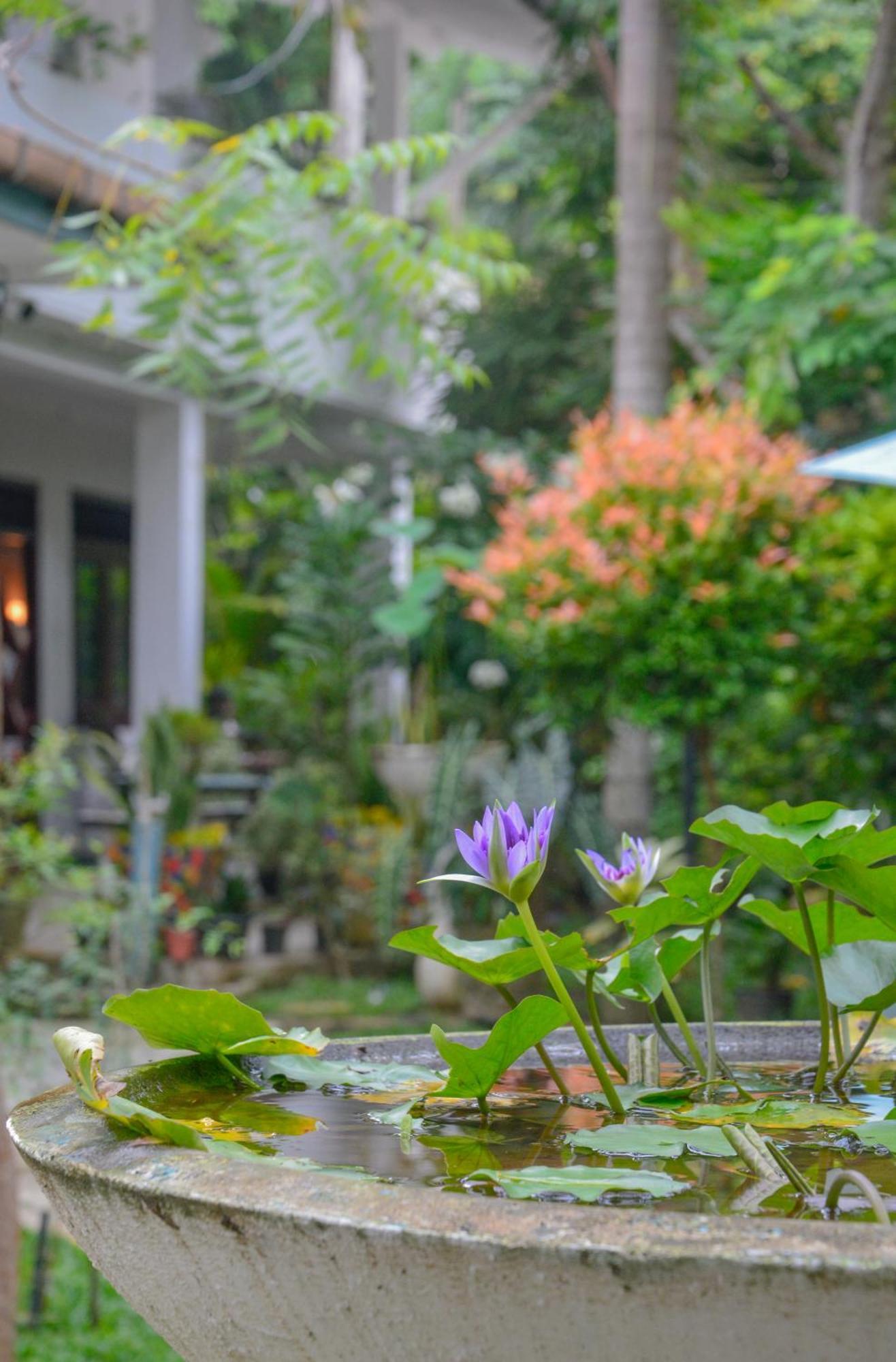 Palm Garden Guest House Ґалле Екстер'єр фото
