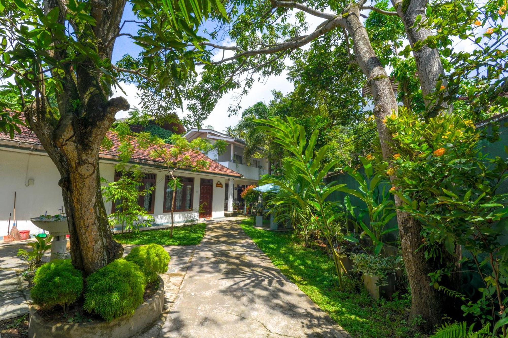 Palm Garden Guest House Ґалле Екстер'єр фото
